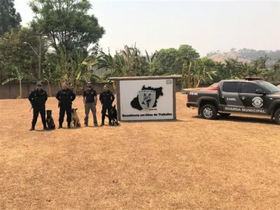 Equipe Canil da GM de Arapongas participa de capacitação em Goiânia