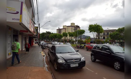 Ivaiporã planeja plantio coletivo de 33 mil árvores em um único dia