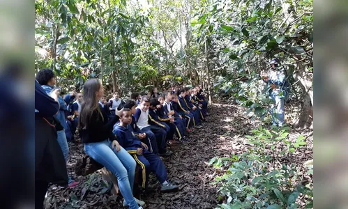 Alunos da rede municipal têm aula prática de ciências no meio da natureza 