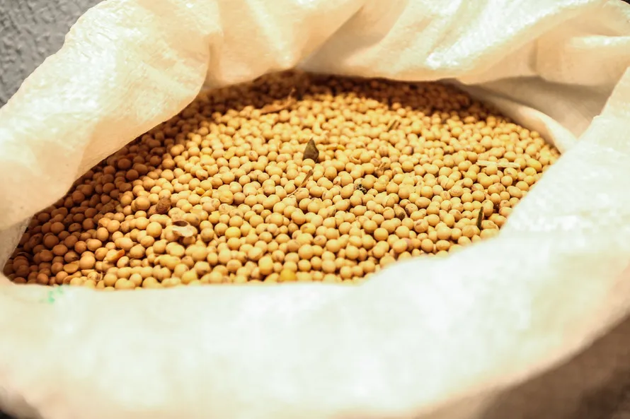 Safra de grãos pode chegar a 23,4 milhões de toneladas