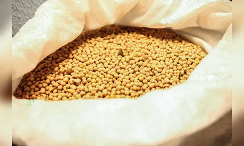 Safra de grãos pode chegar a 23,4 milhões de toneladas