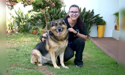 
							'Pet Sitters' conquistam espaço no mercado de trabalho; veja o vídeo
						
						