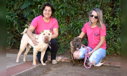 
							'Pet Sitters' conquistam espaço no mercado de trabalho; veja o vídeo
						
						