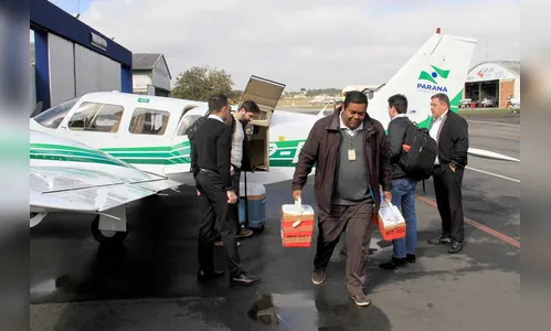 Paraná é líder em doação de órgãos para transplante no Brasil