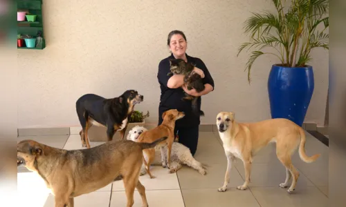 
							'Pet Sitters' conquistam espaço no mercado de trabalho; veja o vídeo
						
						