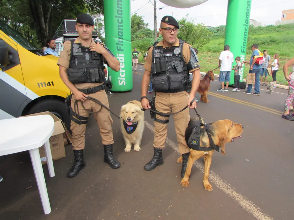 PM de Apucarana realiza no domingo 3ª 'Cãominhada'