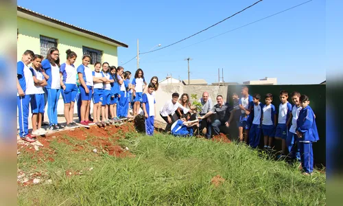 Prefeitura de Ivaiporã planta árvores em escolas municipais