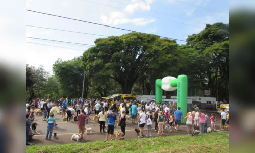 
						
							PM de Apucarana realiza no domingo 3ª 'Cãominhada'
						
						