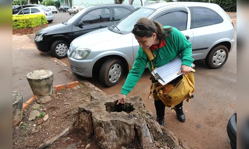 Paraná intensifica prevenção contra dengue