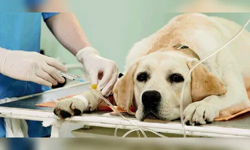 QUANDO VOCÊ DOA A SOPRAP SALVA VIDAS