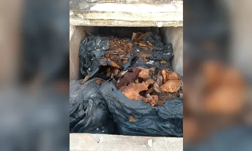 Polícia Civil realiza operação contra grupo suspeito de remover cadáveres e vender terrenos em cemitério do PR