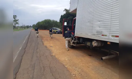 PRF apreende caminhão carregado com 500 mil maços de cigarros contrabandeados 