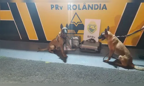 Mulher que estava com filha recém-nascida é presa com mais de 9 Kg de maconha 