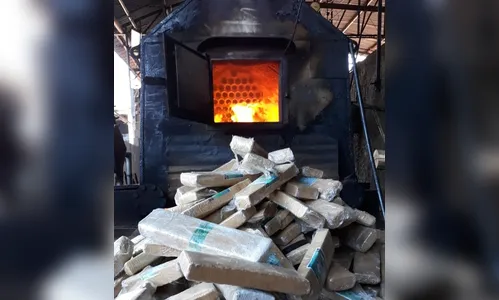Polícia Civil de Apucarana incinera mais de 450 kg de drogas 