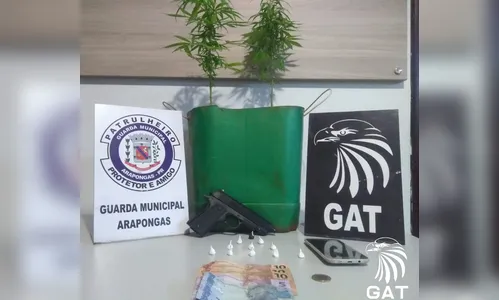 GM de Arapongas apreende pés de maconha, cocaína e arma falsa