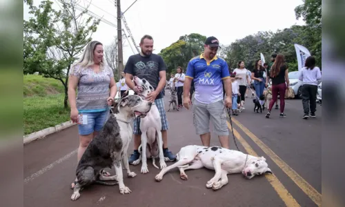 
						
							Polícia Militar promove Cãominhada no “Jaboti”
						
						