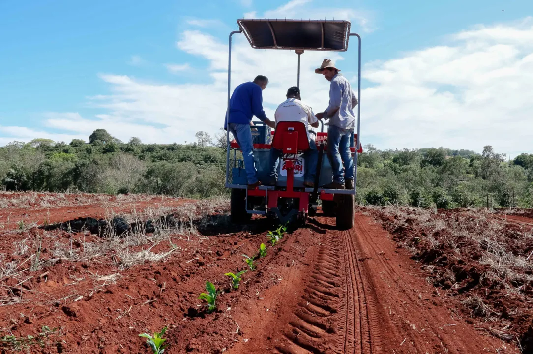 Plantadeira de café começa a atender produtores