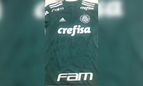
							Jogador do Palmeiras doa camiseta que será rifada em prol do canil da PM de Apucarana 
						
						