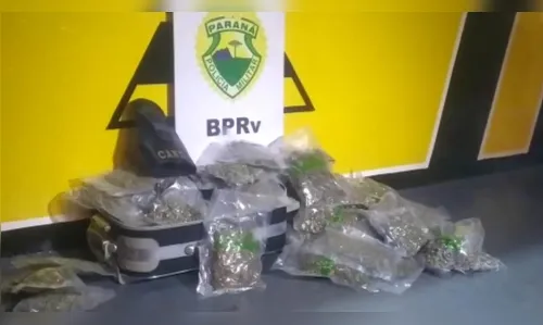 PRE apreende mais de 7 kg de maconha em Rolândia
