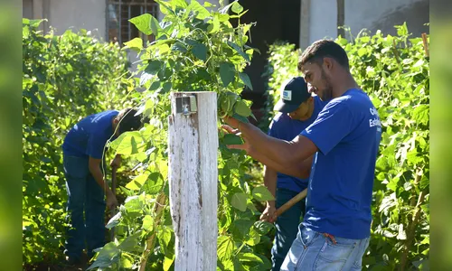 Colégios da região ofertam 16 cursos técnicos