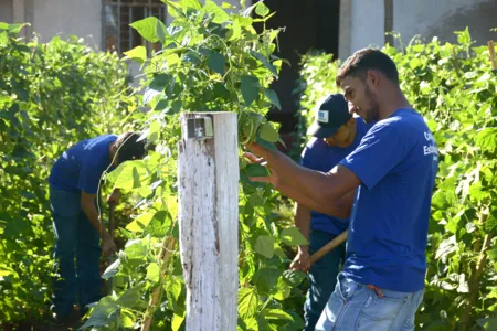 Colégio de Educação Agrícola Manoel Ribas oferta cursos técnicos em Meio Ambiente e Agropecuária. Foto: Sérgio Rodrigo/Tribuna do Norte