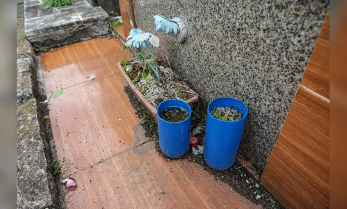 Casos de dengue aumentam a cada semana no Paraná