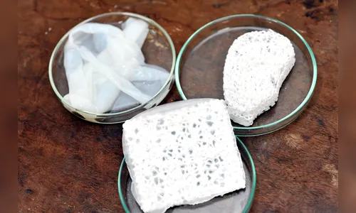 UEL cria membrana que ajuda na formação de pele, osso e cartilagem