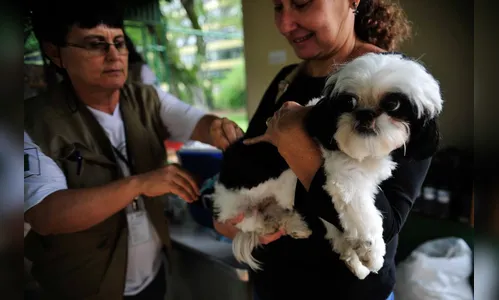 Aplicativos de transporte e gastos com pets entram no cálculo da inflação