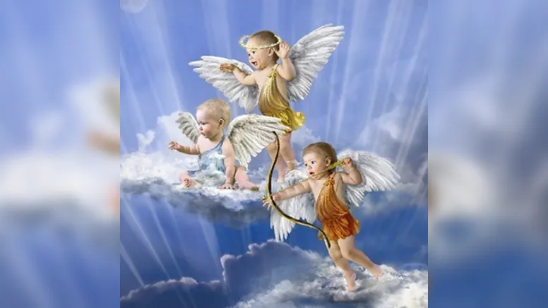 Imagem ilustrativa da notícia Anjos de novembro: dia 28 