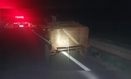 Acidente envolvendo moto e carroça acontece neste final de semana em Apucarana