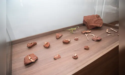 Sítio paleontológico no Paraná revelou quatro espécies de animais