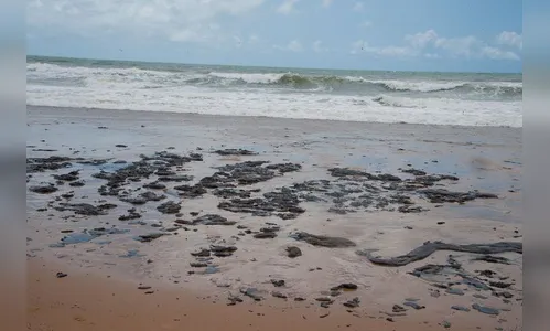 Bahia decreta estado de emergência por manchas de óleo no litoral