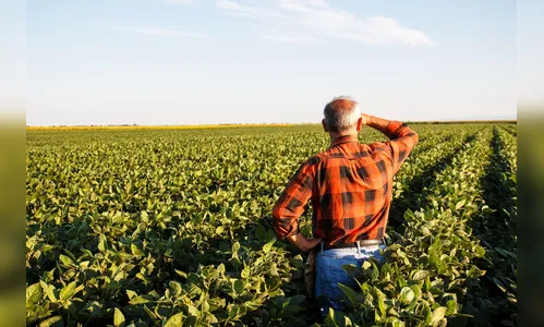 Produtores rurais poderão refinanciar dívidas com juros de 8% ao ano