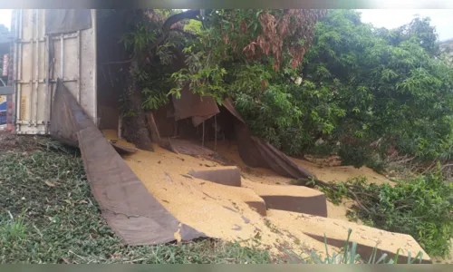 
							Caminhão carregado com milho tomba em Apucarana 
						
						