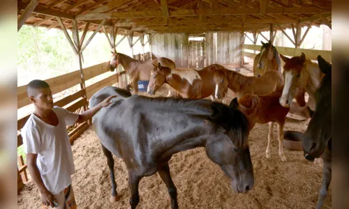 
						
							Empresa especializada já resgatou 50 animais de grande porte em Apucarana
						
						