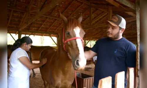 
						
							Empresa especializada já resgatou 50 animais de grande porte em Apucarana
						
						