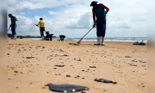 Mais de 525 toneladas de resíduos foram retiradas de praias com óleo