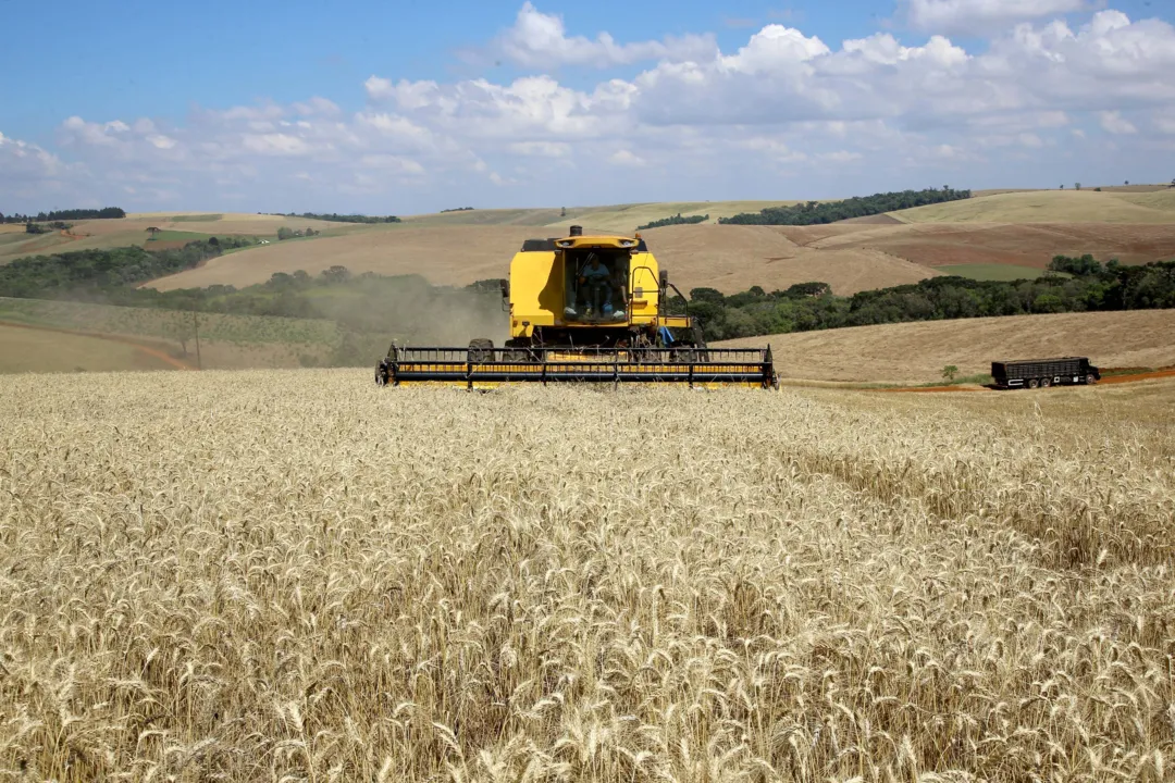 Paraná deverá produzir mais de 36 milhões de toneladas de grãos
