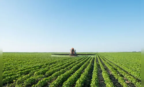 Transformações Tecnológicas Para a Competitividade do Agronegócio