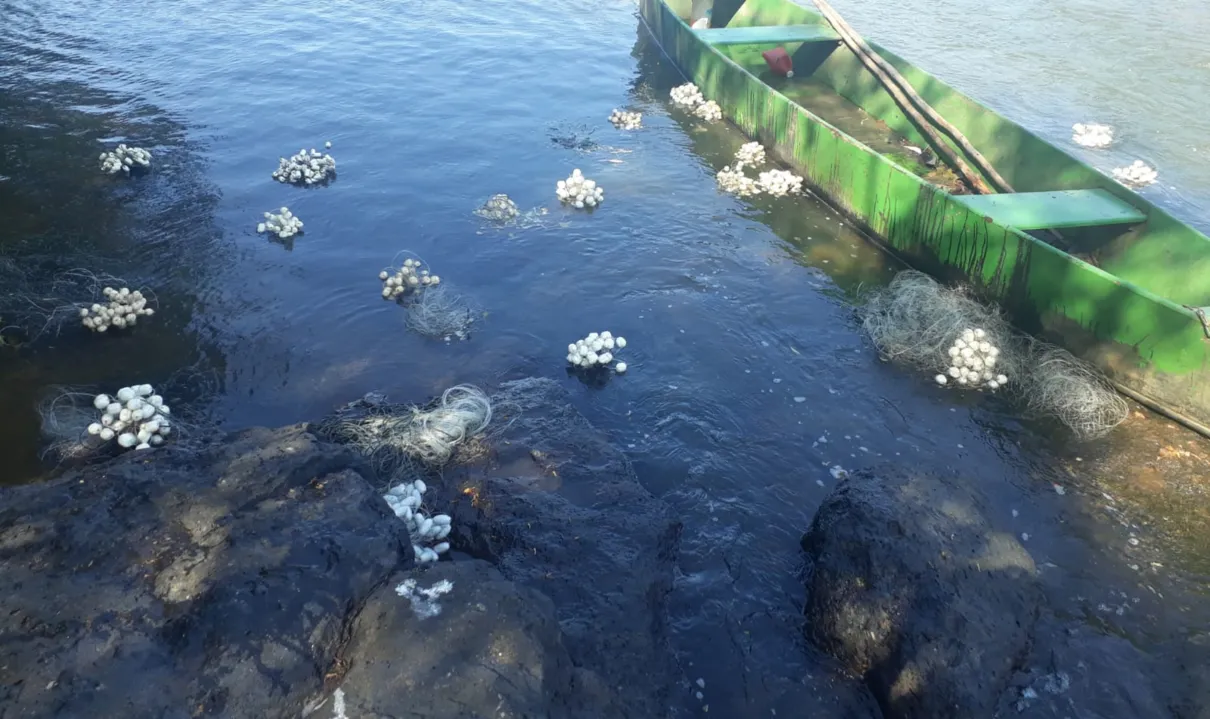 Foram apreendidos 18 quilos de peixes nativos e 720 metros de redes malha . (Fotos: Polícia Ambiental de Apucarana)