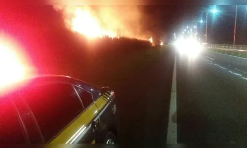 Incêndio às margens da BR 369 mobiliza PRF e bombeiros em Arapongas