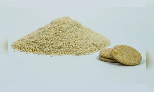 UEL desenvolve bioinseticida para controle do Aedes aegypti