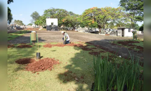 
						
							Preparação para Dia de Finados movimenta cemitério de Ivaiporã
						
						