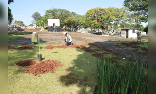 
							Preparação para Dia de Finados movimenta cemitério de Ivaiporã
						
						
