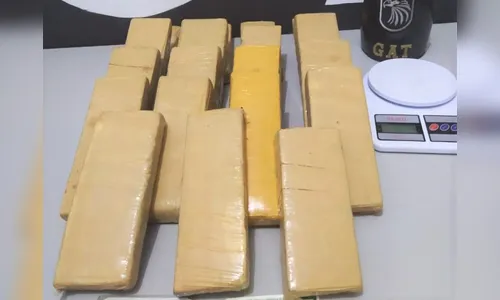 Guarda Municipal apreende mais de 10kg de maconha no Jardim Columbia em Arapongas