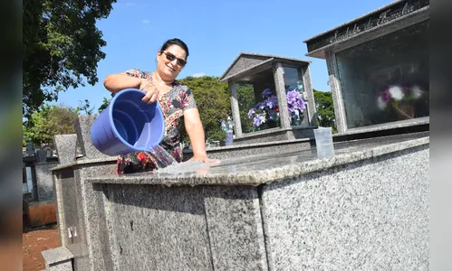 Prazo para limpeza dos túmulos termina nesta quinta-feira, em Apucarana