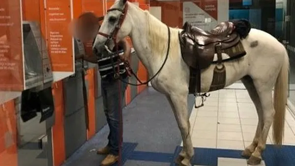 Homem leva cavalo para agência bancária no interior de SP