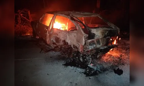 Carro é consumido por chamas após colisão com árvore