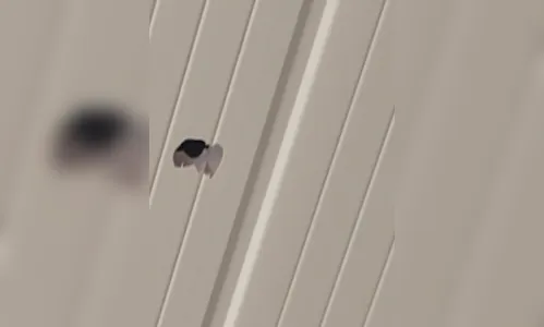 Bala perdida atinge telhado de casa em Apucarana; morador conta o susto que levou