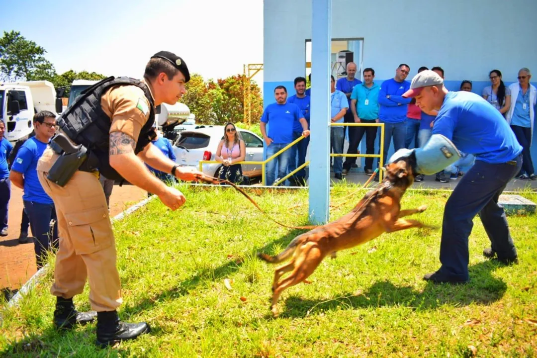 Foto: Divulgação